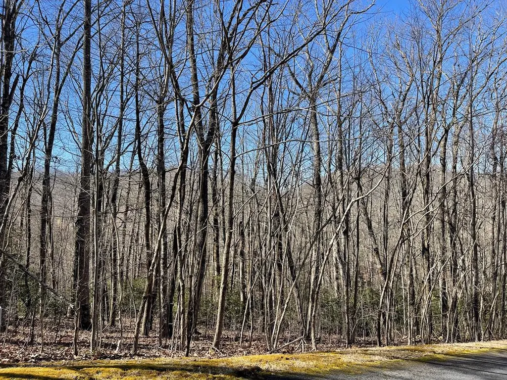 Lot 34j Ash Branch Road Hayesville NC 28904