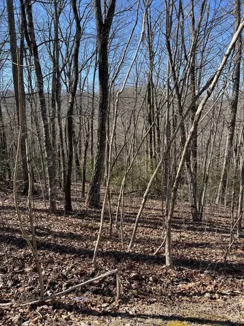 Lot 34j Ash Branch Road Hayesville NC 28904