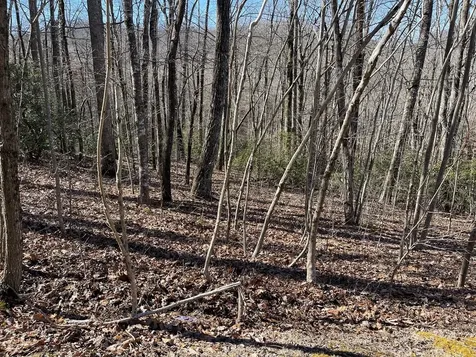 Lot 34j Ash Branch Road Hayesville NC 28904