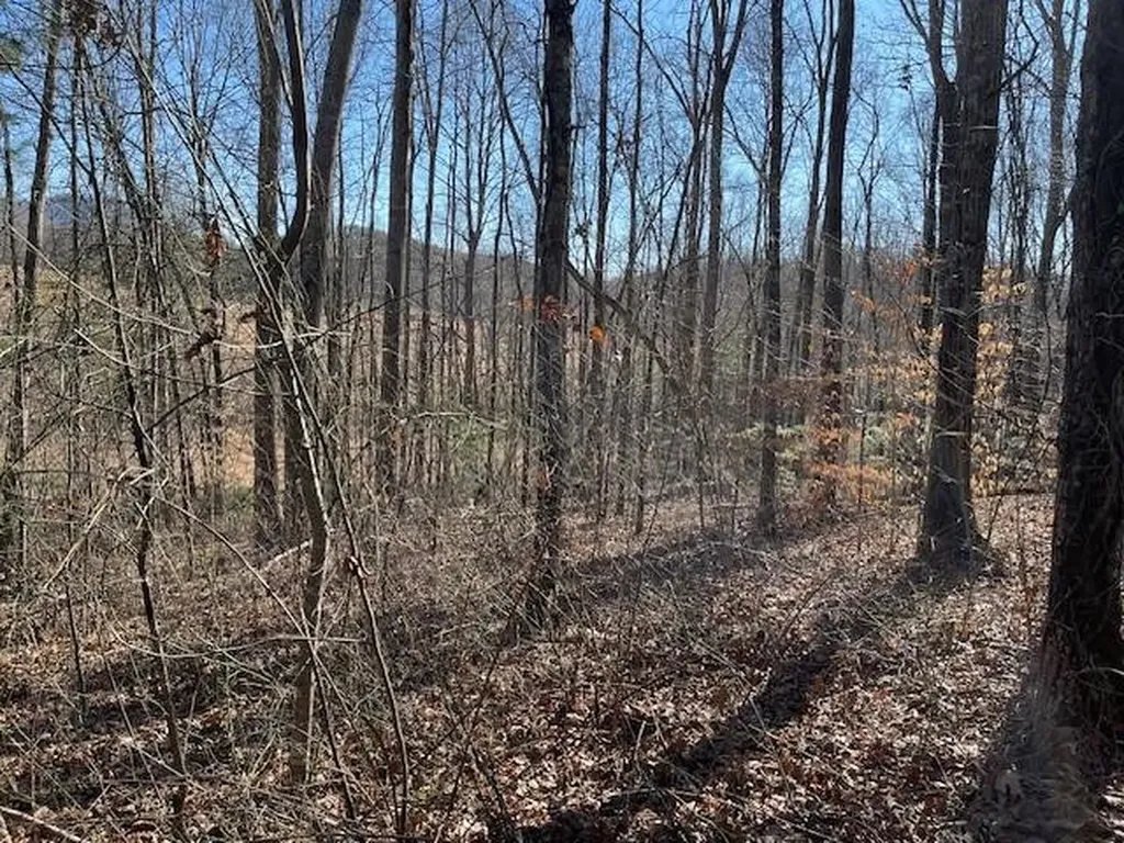 Lot 2e The Woodlands Hayesville NC 28904