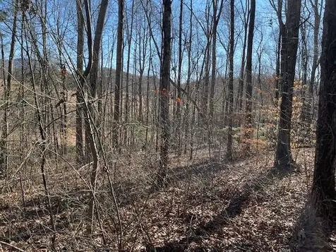 Lot 2e The Woodlands Hayesville NC 28904
