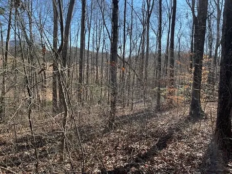 Lot 2e The Woodlands Hayesville NC 28904