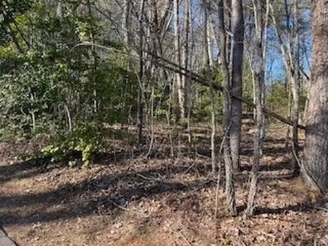 Lot 2e The Woodlands Hayesville NC 28904