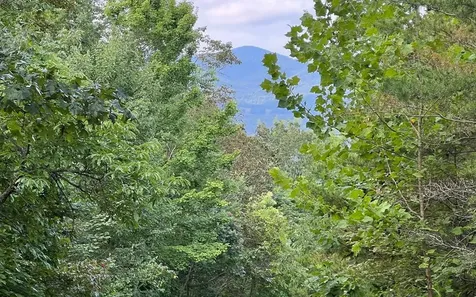 Lot 11 The Preserve Brasstown NC 28902