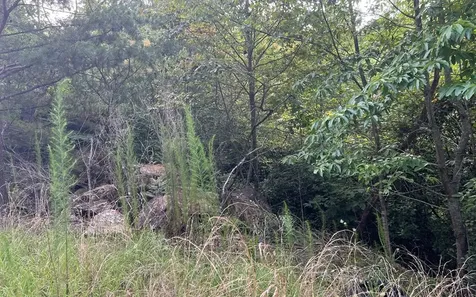 Lot 11 The Preserve Brasstown NC 28902