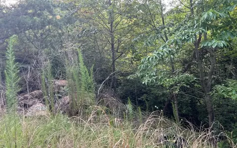 Lot 11 The Preserve Brasstown NC 28902
