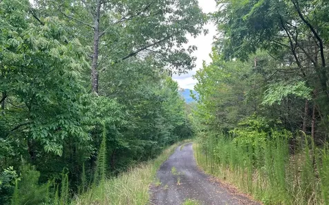 Lot 11 The Preserve Brasstown NC 28902