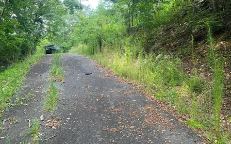 Lot 11 The Preserve Brasstown NC 28902