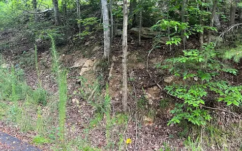 Lot 11 The Preserve Brasstown NC 28902