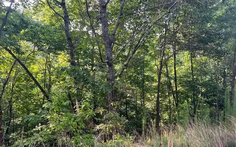 Lot 11 The Preserve Brasstown NC 28902