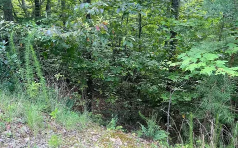 Lot 11 The Preserve Brasstown NC 28902
