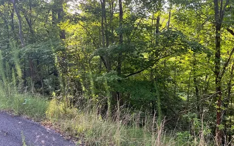 Lot 11 The Preserve Brasstown NC 28902