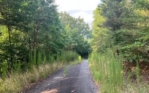 Lot 11 The Preserve Brasstown NC 28902