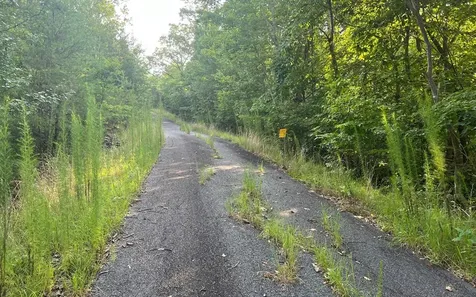Lot 11 The Preserve Brasstown NC 28902