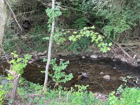 00 Highway 19 Andrews NC 28901