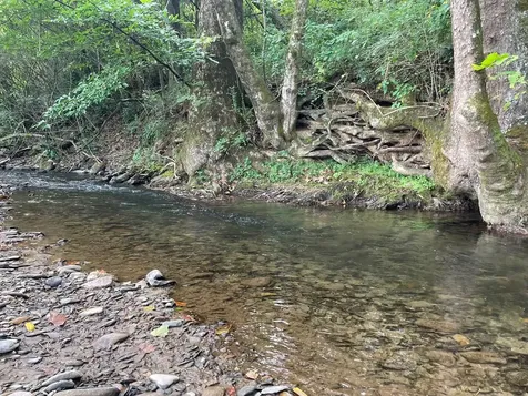 00 Highway 19 Andrews NC 28901