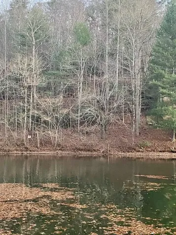Lot 5 The Landings Robbinsville NC 28771