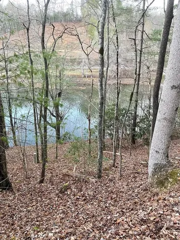 Lot 5 The Landings Robbinsville NC 28771