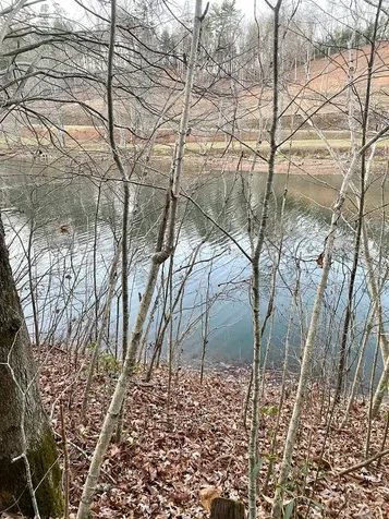 Lot 5 The Landings Robbinsville NC 28771