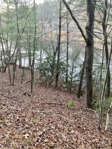 Lot 5 The Landings Robbinsville NC 28771