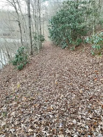 Lot 5 The Landings Robbinsville NC 28771