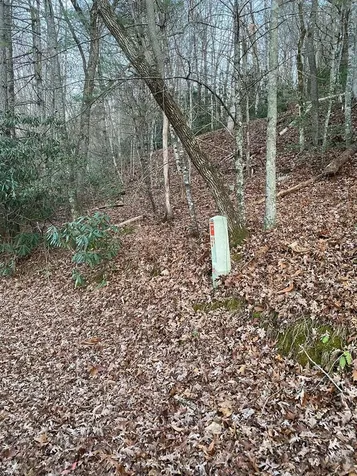 Lot 5 The Landings Robbinsville NC 28771