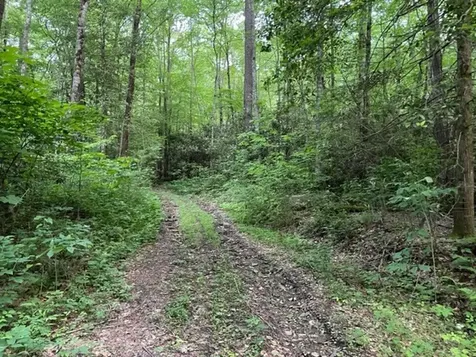 000 Chestnut Oaks Andrews NC 28901