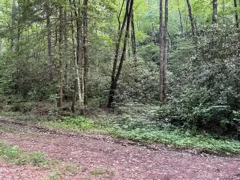 000 Chestnut Oaks Andrews NC 28901