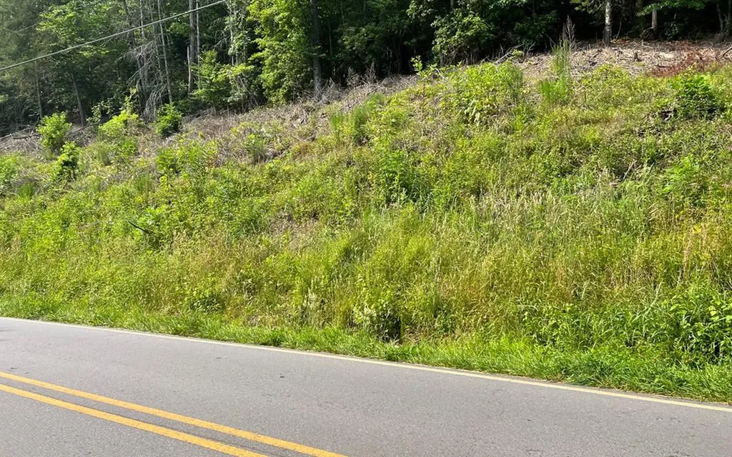 Lot 3 Fires Creek Road Hayesville NC 28904