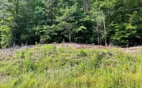 Lot 3 Fires Creek Road Hayesville NC 28904
