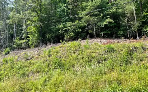 Lot 3 Fires Creek Road Hayesville NC 28904