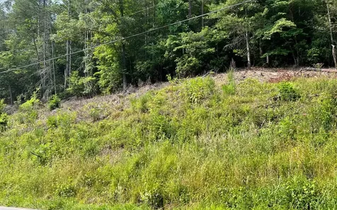 Lot 3 Fires Creek Road Hayesville NC 28904