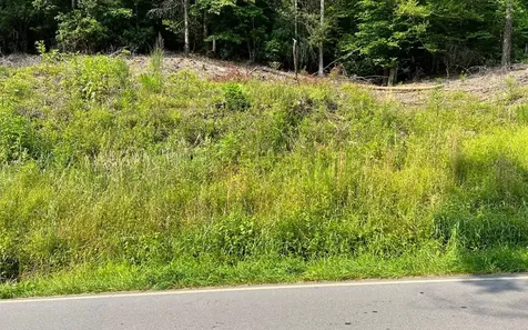 Lot 3 Fires Creek Road Hayesville NC 28904