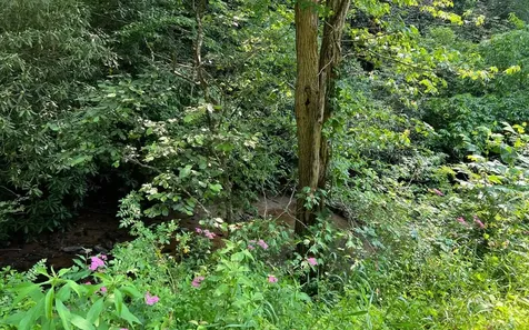 Lot 3 Fires Creek Road Hayesville NC 28904