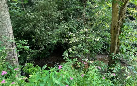 Lot 3 Fires Creek Road Hayesville NC 28904
