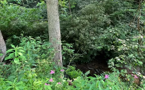 Lot 3 Fires Creek Road Hayesville NC 28904