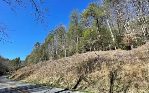 Lot 3 Fires Creek Road Hayesville NC 28904