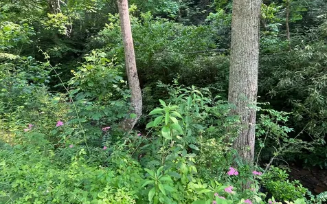 Lot 3 Fires Creek Road Hayesville NC 28904