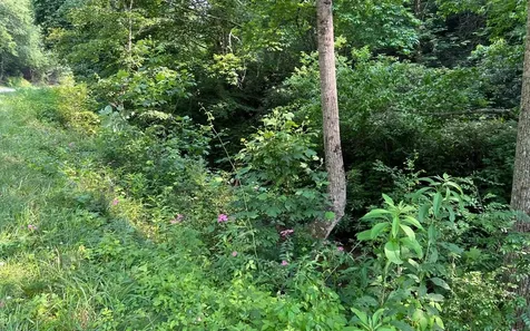Lot 3 Fires Creek Road Hayesville NC 28904