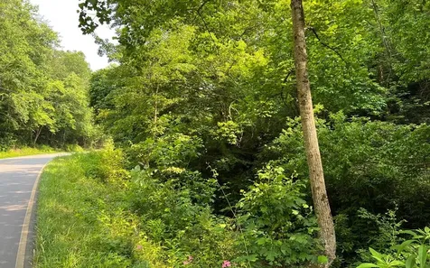 Lot 3 Fires Creek Road Hayesville NC 28904