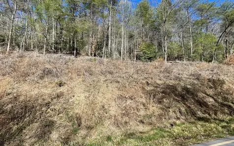 Lot 3 Fires Creek Road Hayesville NC 28904