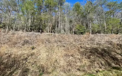 Lot 3 Fires Creek Road Hayesville NC 28904