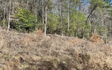 Lot 3 Fires Creek Road Hayesville NC 28904