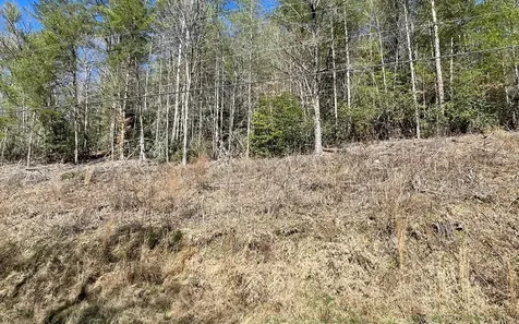 Lot 3 Fires Creek Road Hayesville NC 28904