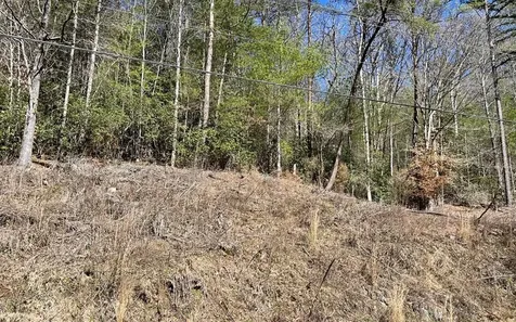 Lot 3 Fires Creek Road Hayesville NC 28904