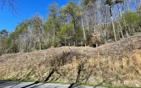 Lot 3 Fires Creek Road Hayesville NC 28904