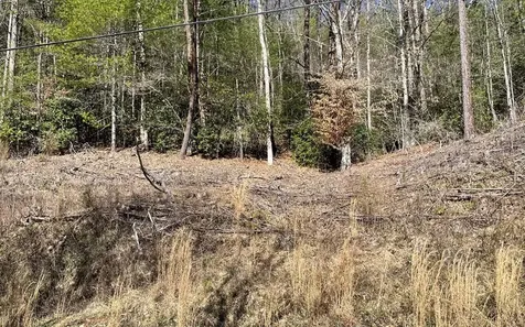 Lot 3 Fires Creek Road Hayesville NC 28904