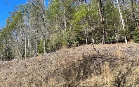 Lot 3 Fires Creek Road Hayesville NC 28904