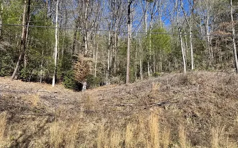Lot 3 Fires Creek Road Hayesville NC 28904