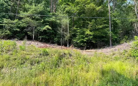 Lot 3 Fires Creek Road Hayesville NC 28904